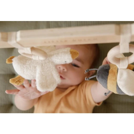 Baby Gym Little Goose