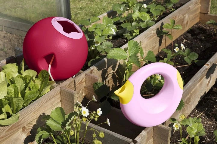Ballo – Cherry