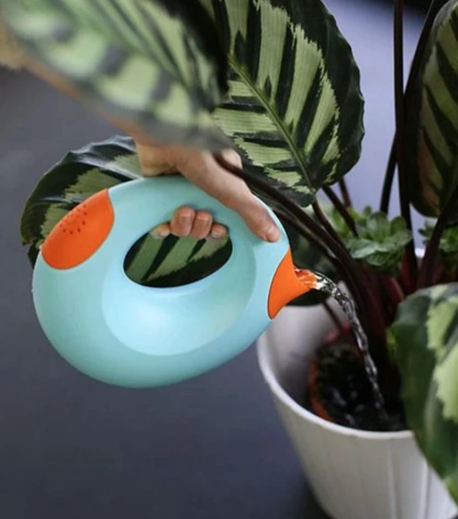 1L watering can (blue)