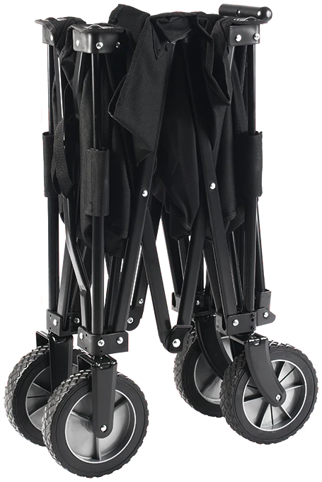 Micro Wagon – The Family Buddy