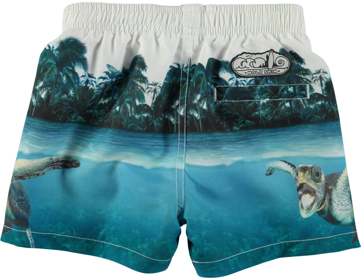 Niko – Singing Turtle 5-6yrs