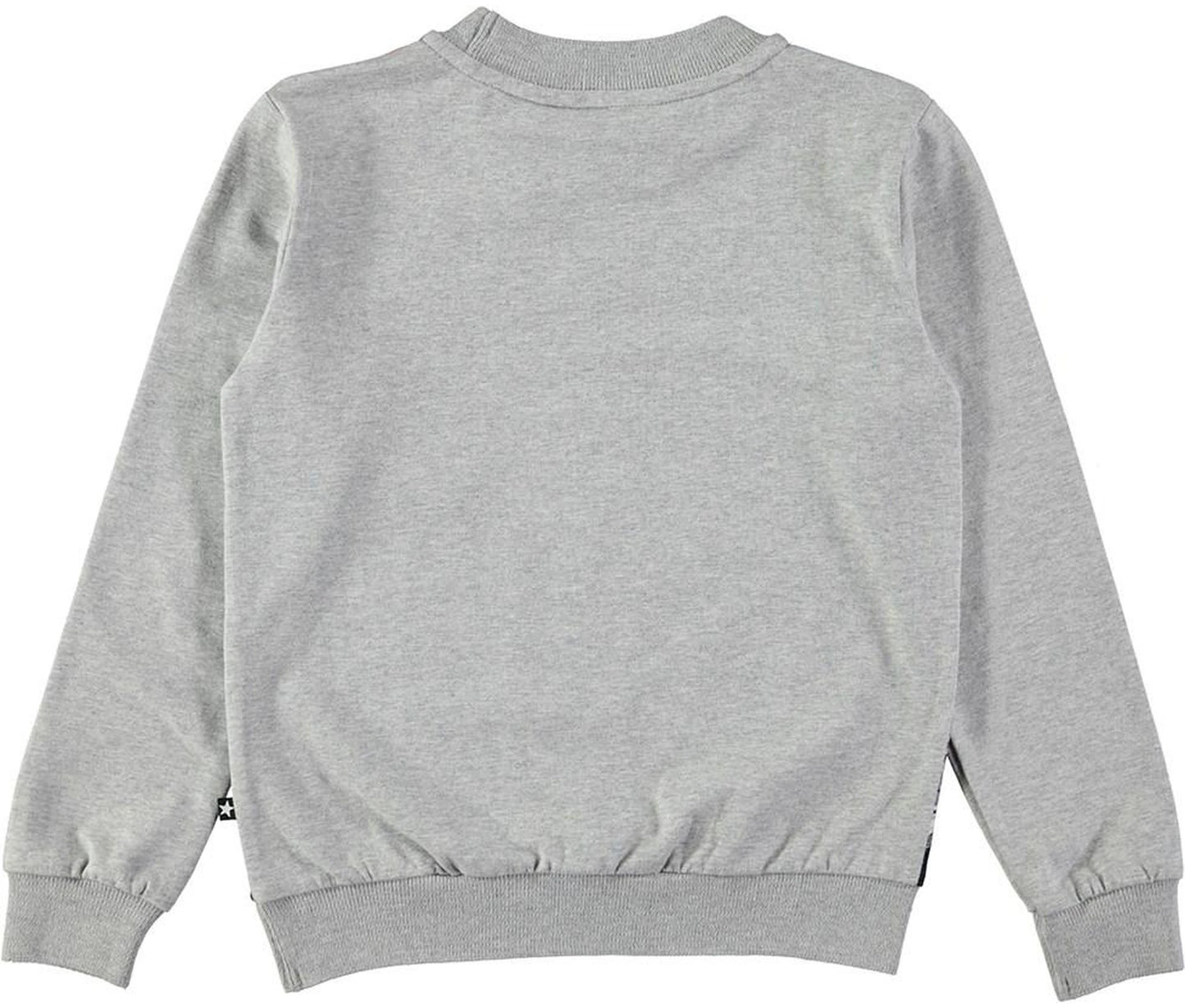 Regine Forest Squirrels Top