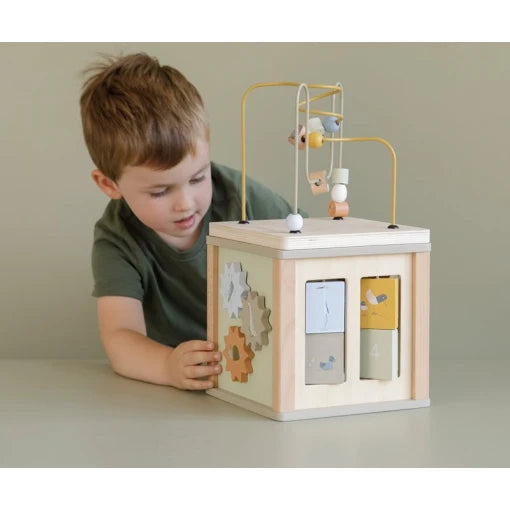 Wooden Activity Cube Little Goose