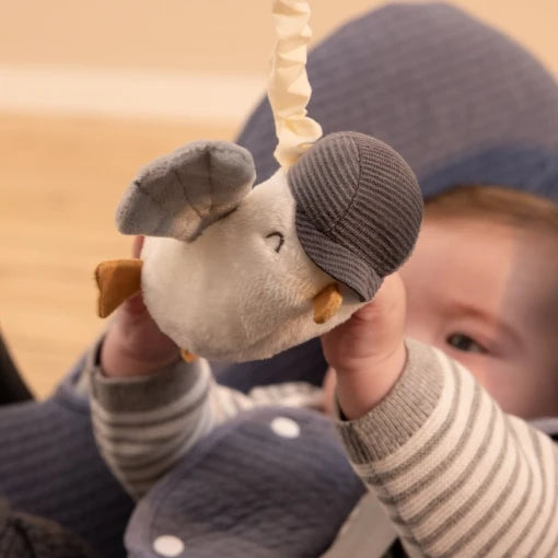 Pull-and-Shake Seagull