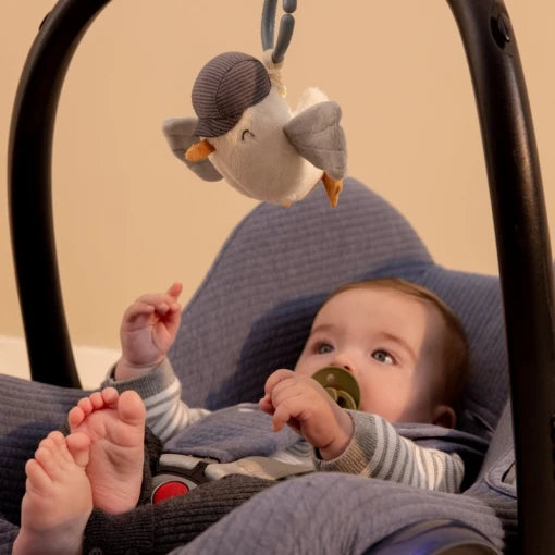 Pull-and-Shake Seagull