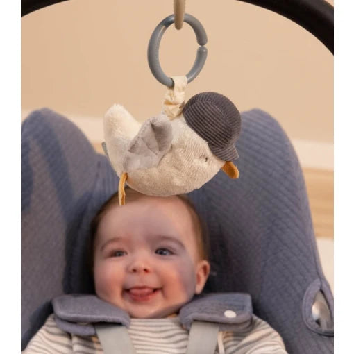 Pull-and-Shake Seagull