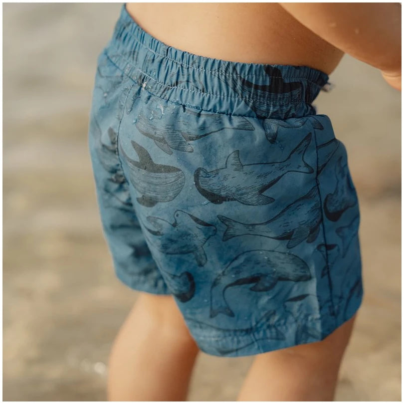 Swimshort Sea Life blue 3-4yrs