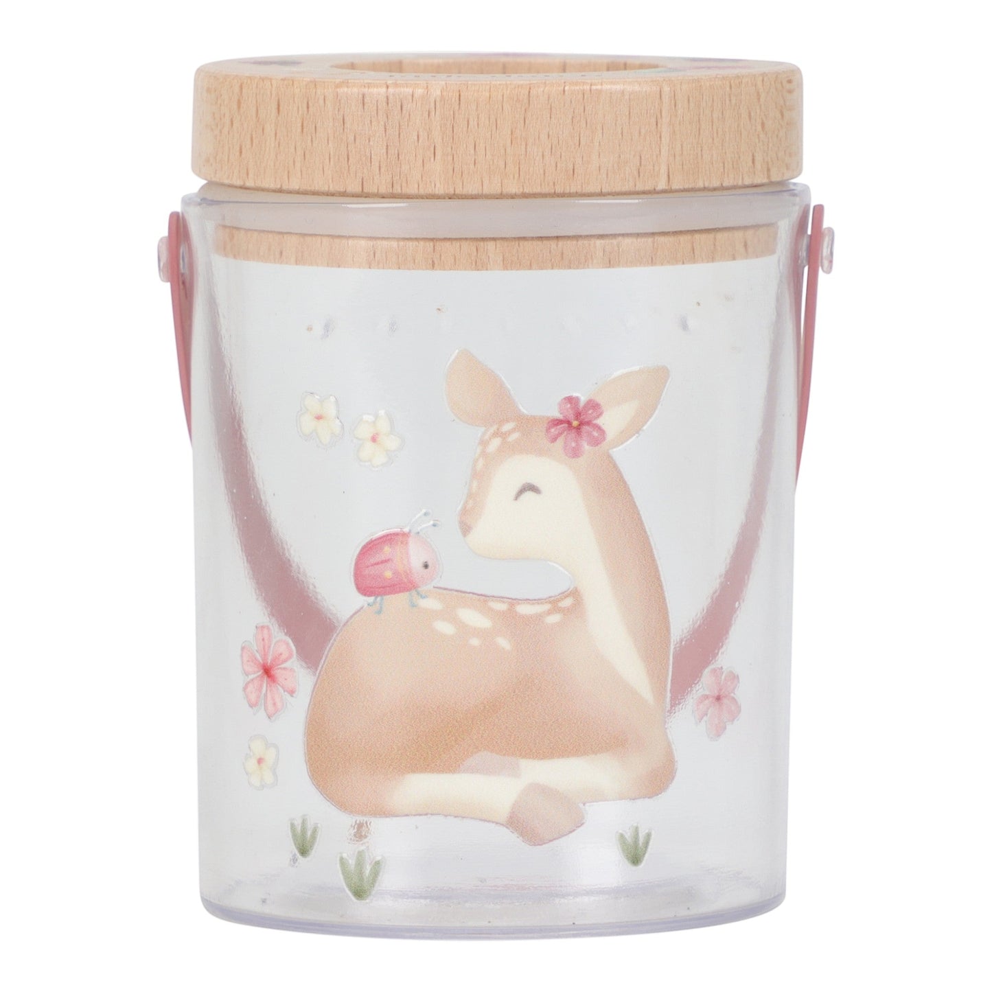Insect Observation Jar