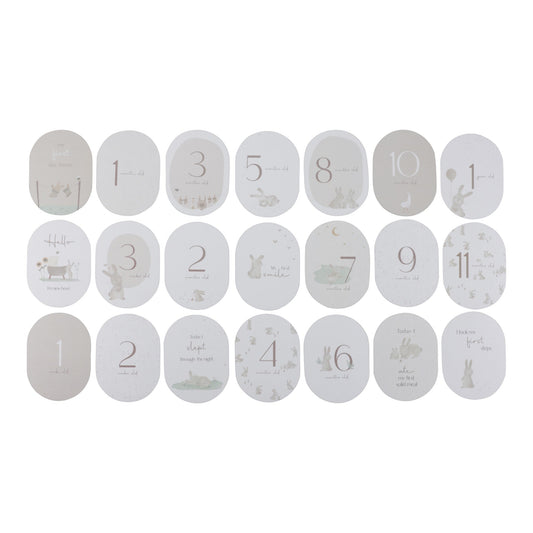 Baby Milestone Cards Baby Bunny Jellyfishkids