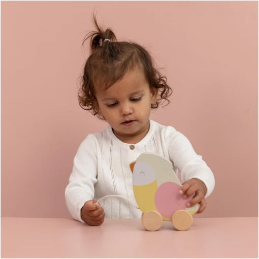 Pull-along Bird Abby