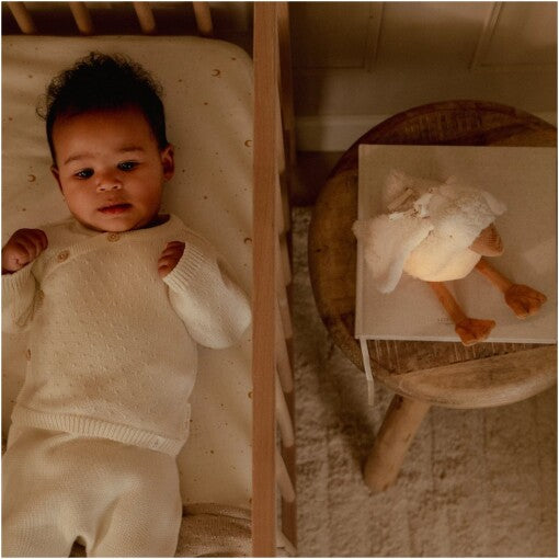 Cuddle Goose Light & Sound – Little Goose