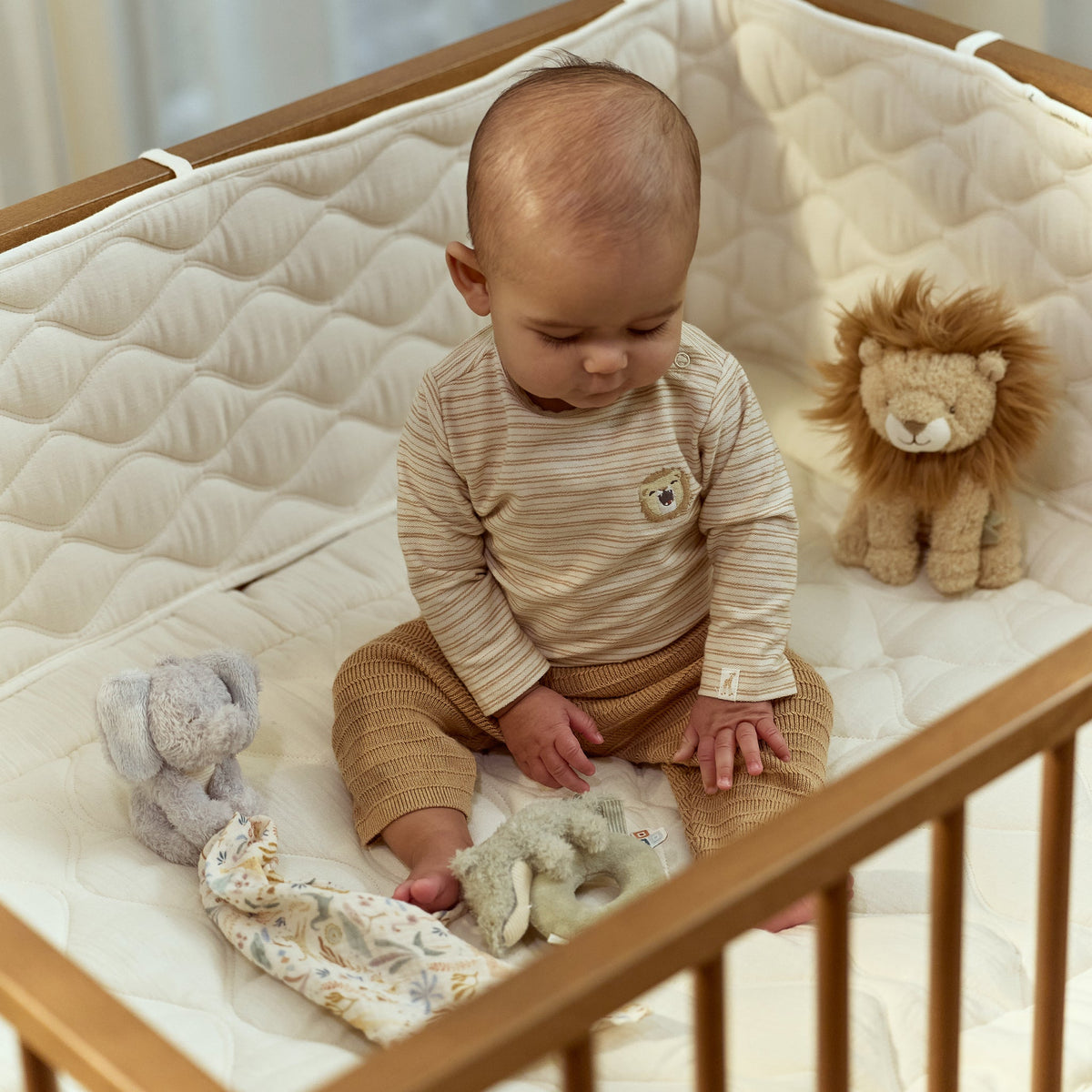 Safari Friends Gift Set