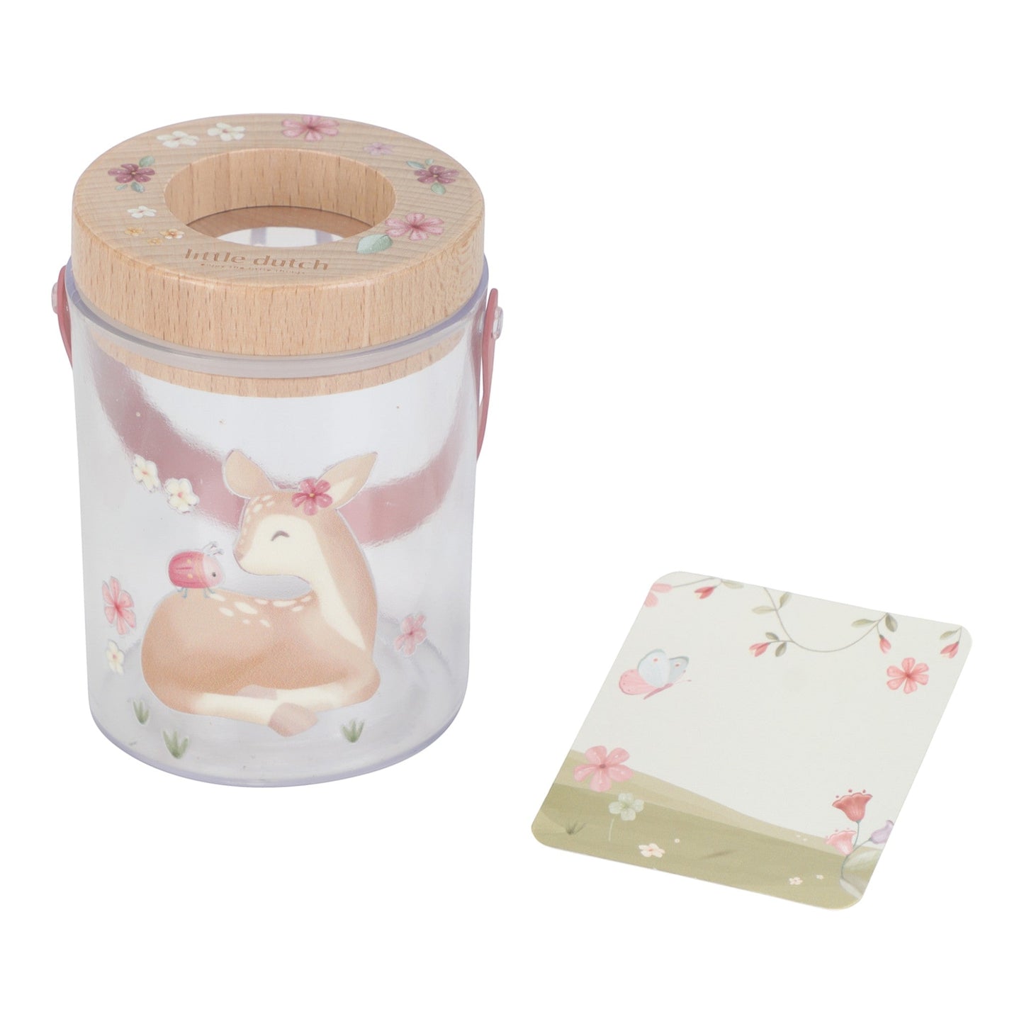 Insect Observation Jar