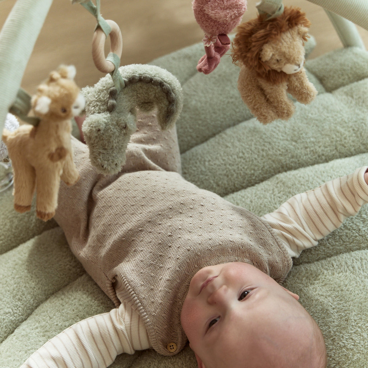 Safari Friends Baby Activity Gym