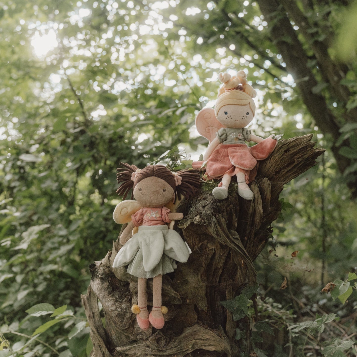 Fairy Doll Evi New