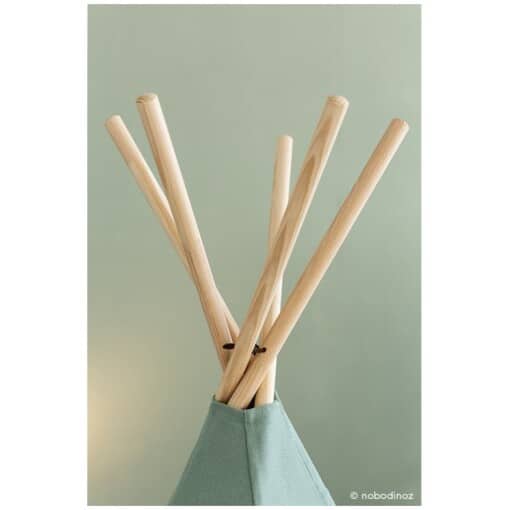 Nevada teepee • eden green