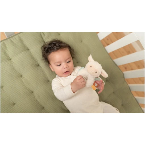 Ring rattle sheep Little Farm