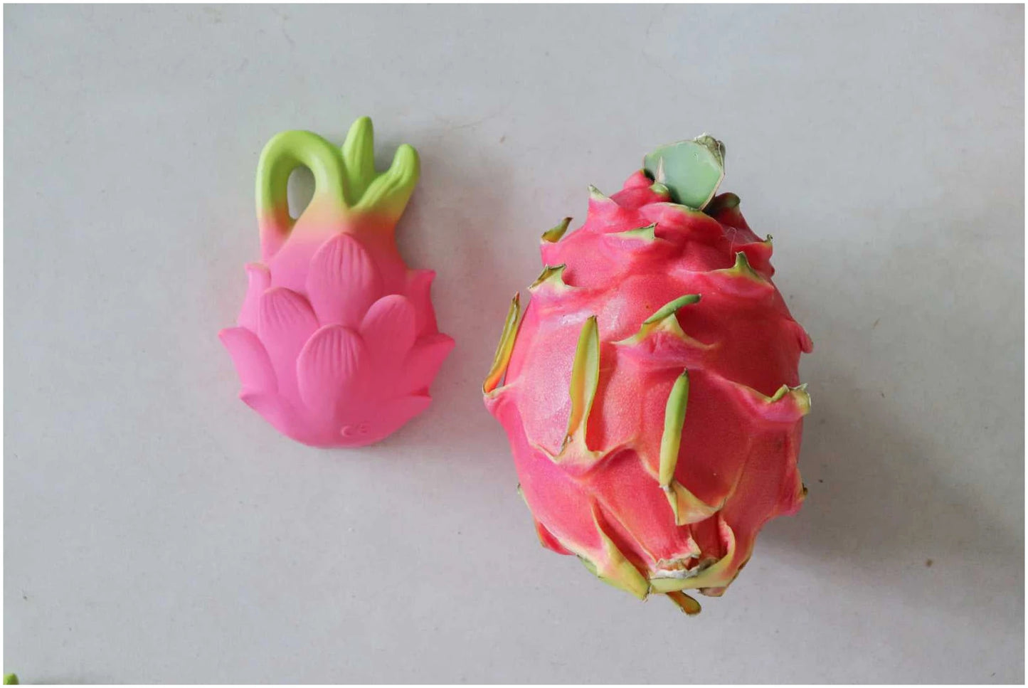 Fucsia the Dragonfruit