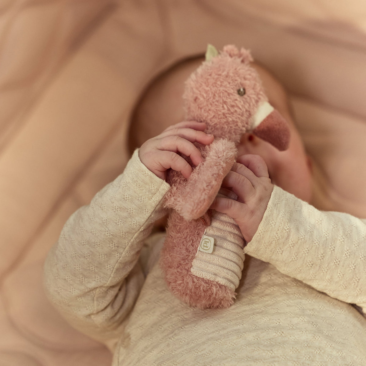 Flamingo rattle