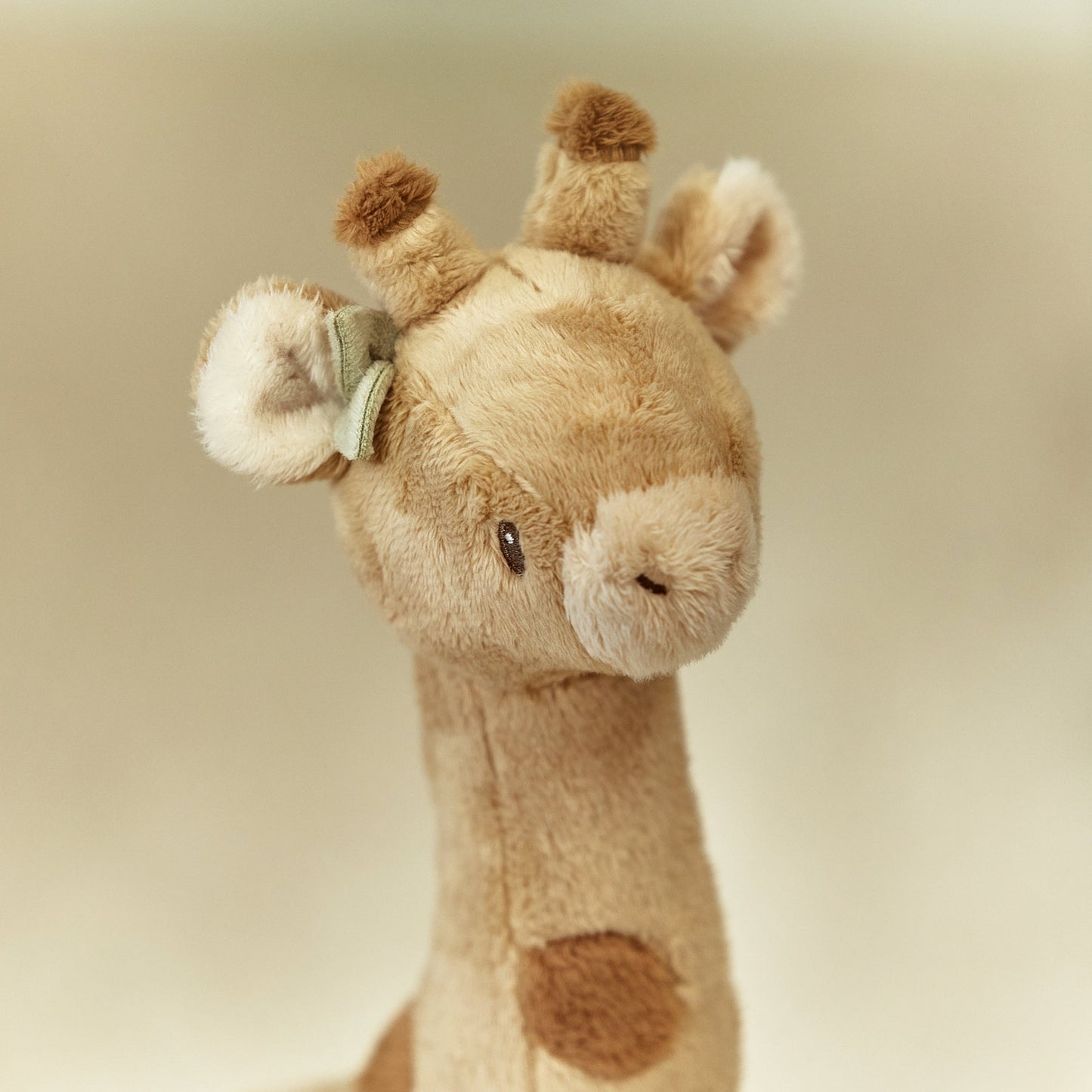 Giraffe Safari Friends