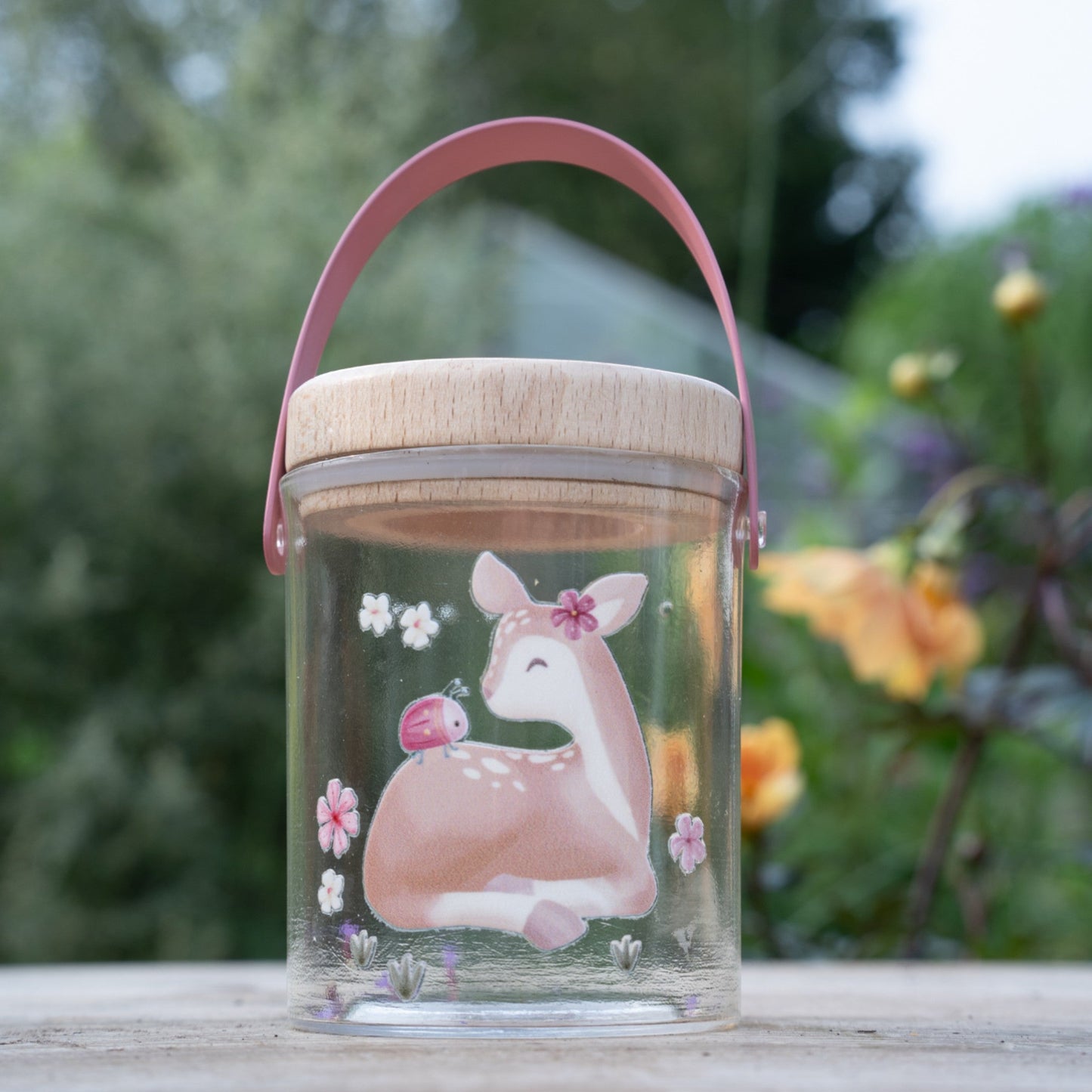 Insect Observation Jar