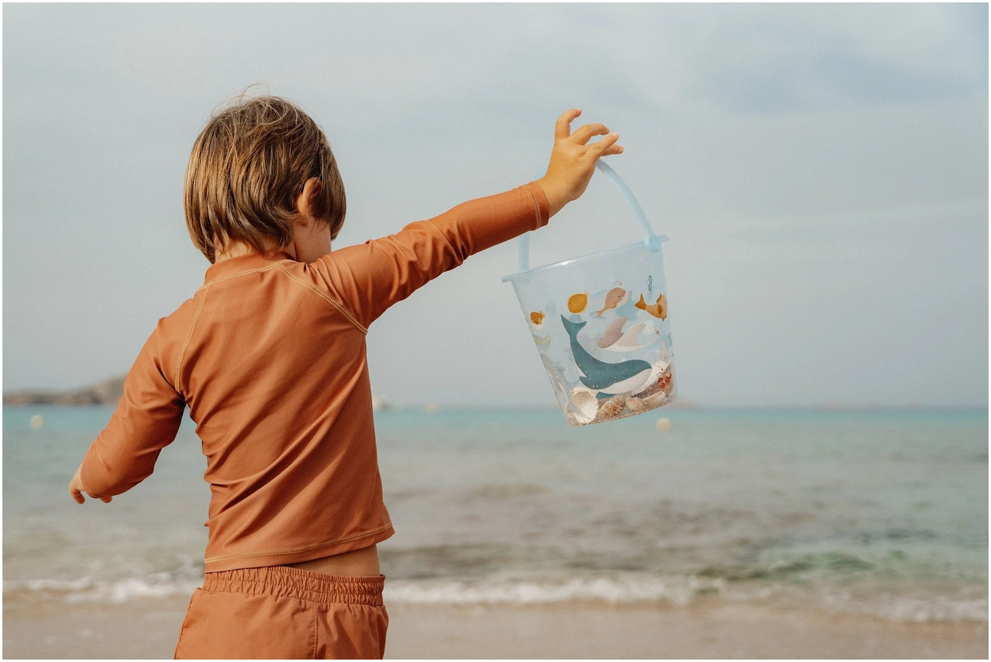 Shell Bucket Sea Life