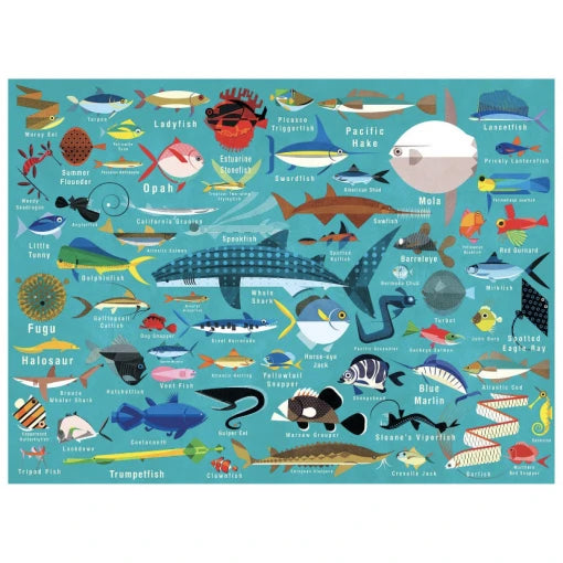 Ocean Life – 1000 Piece Puzzle