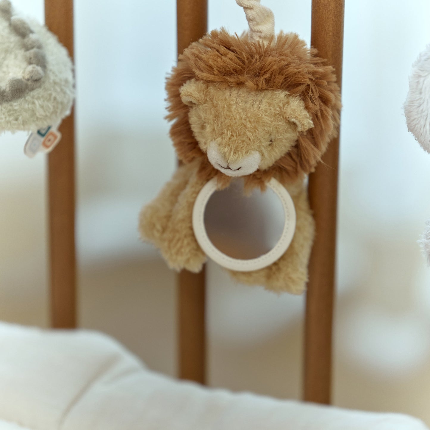 Safari Friends Activity Spiral