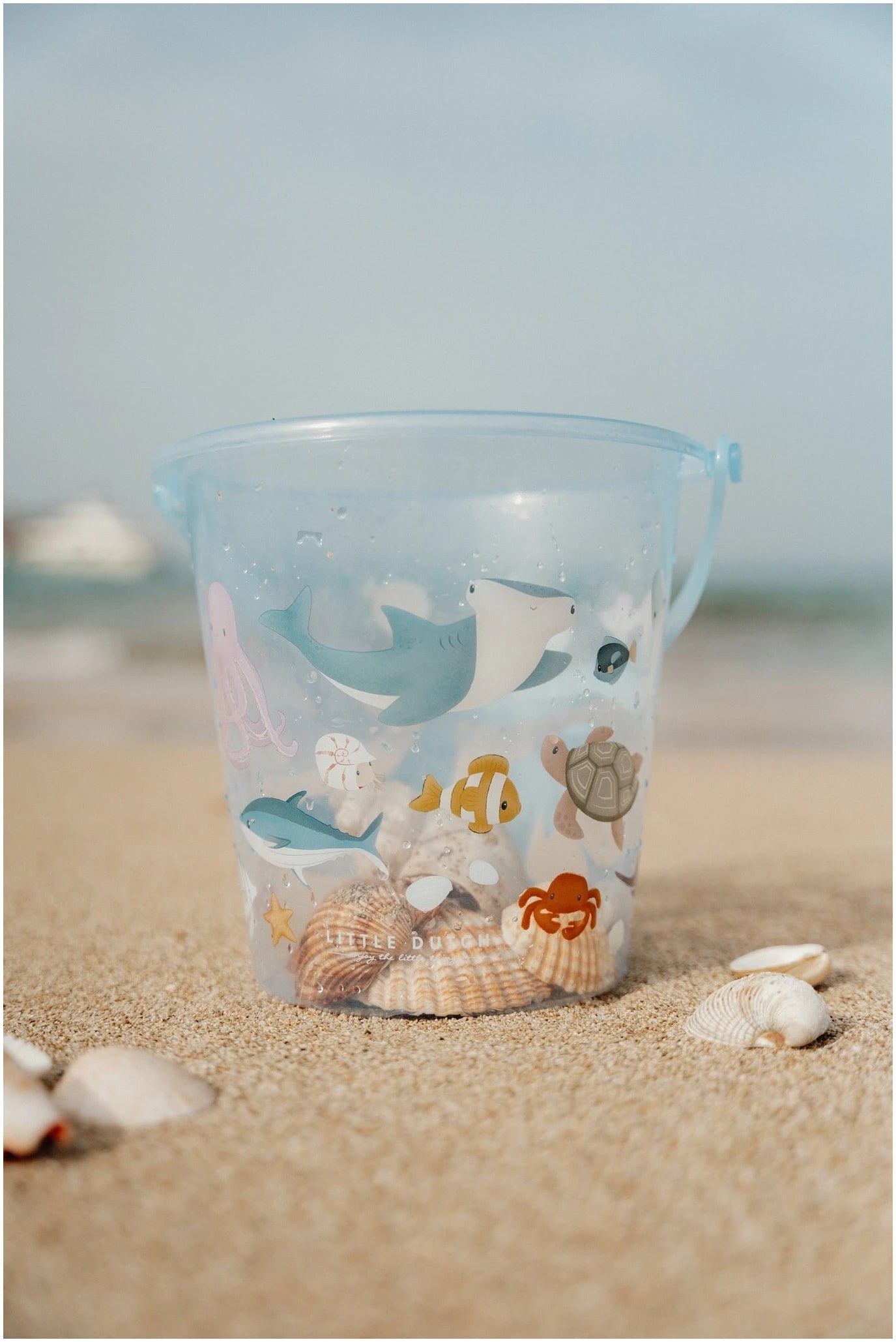 Shell Bucket Sea Life