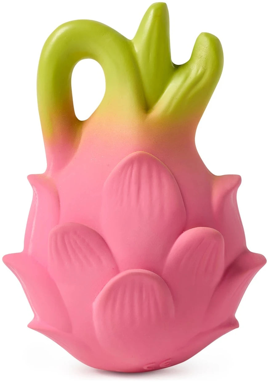 Fucsia the Dragonfruit