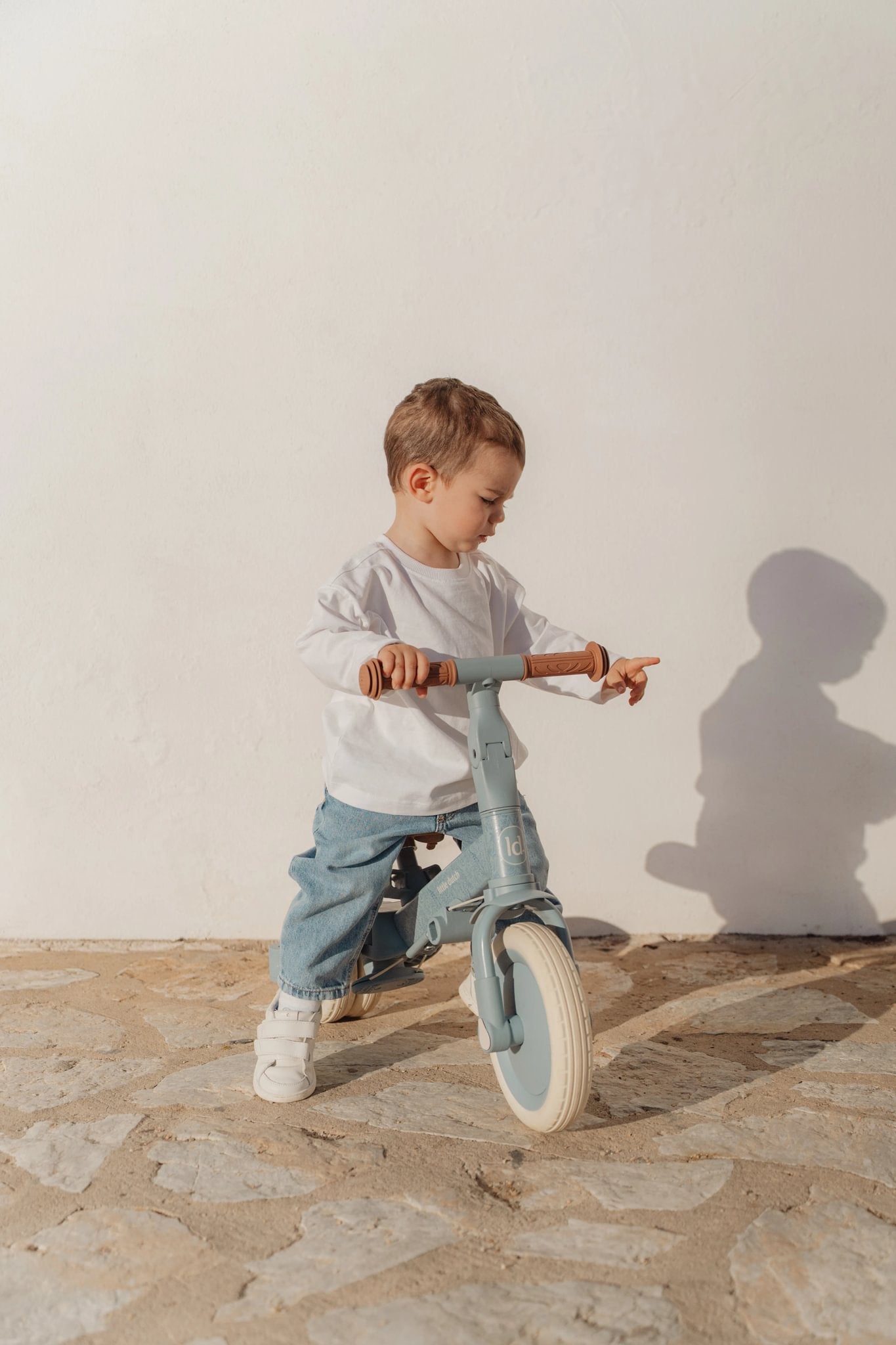 4 in 1 tricycle Blue