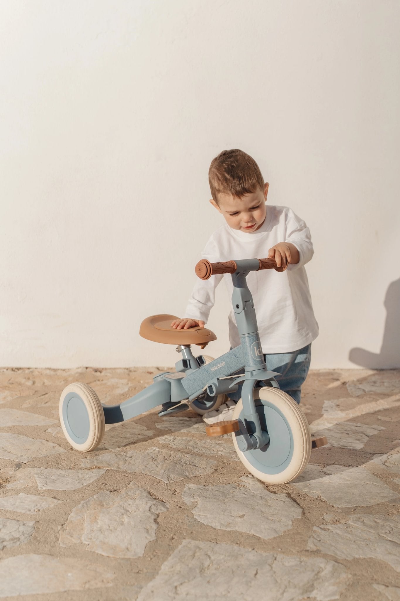 4 in 1 tricycle Blue
