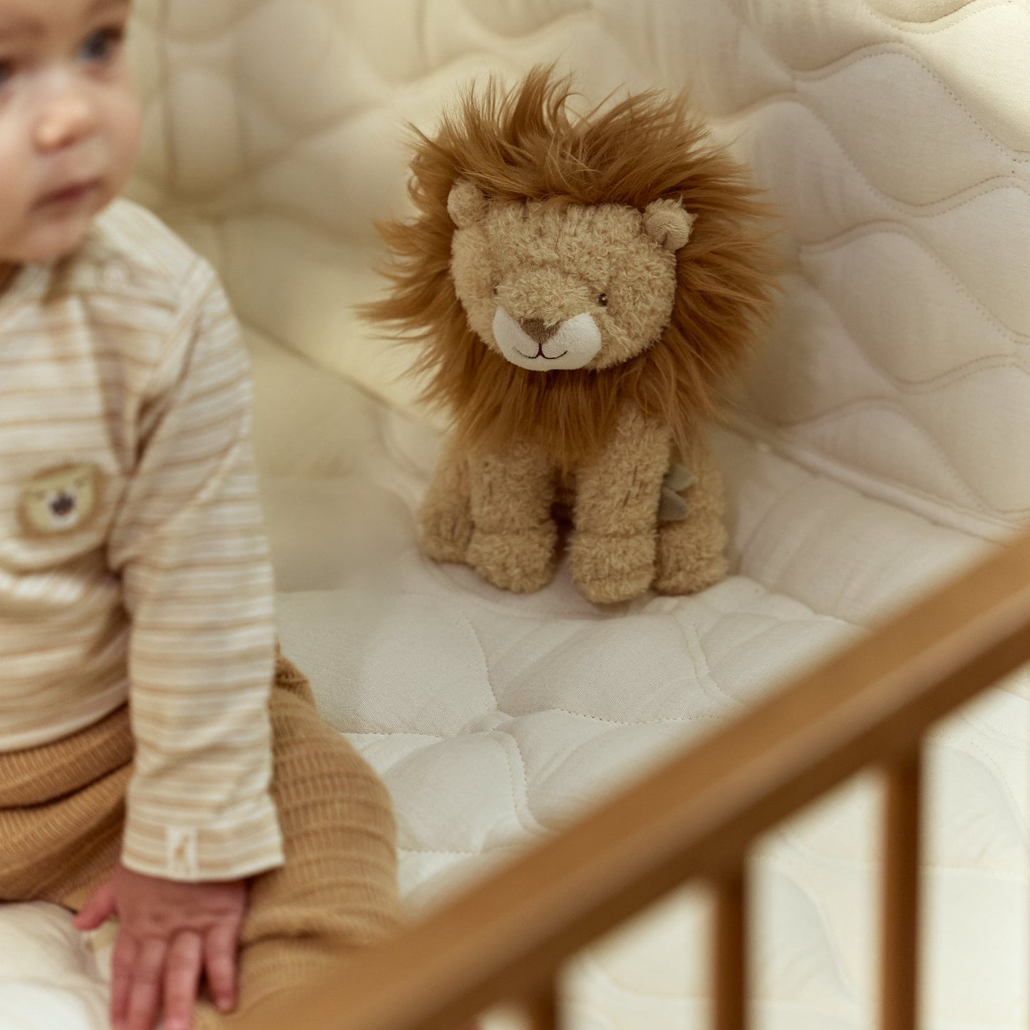 Safari Friends Gift Set