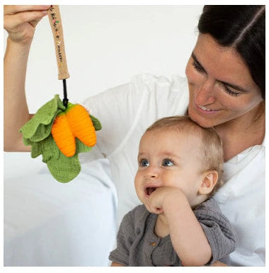 Pacifier/teething toy clip