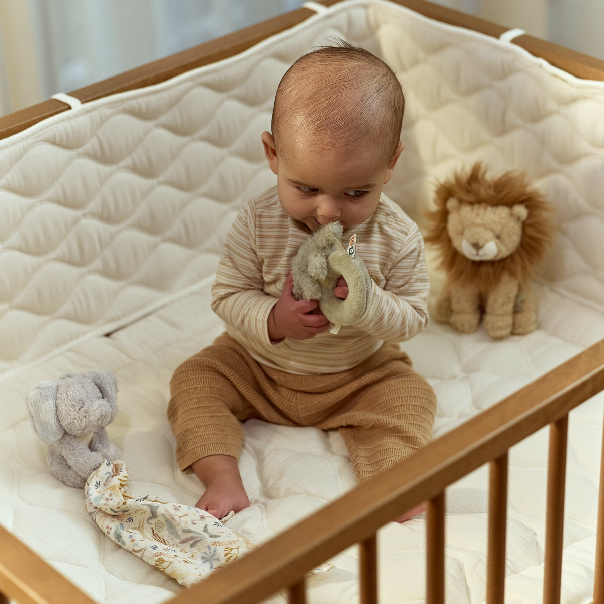 Safari Friends Gift Set