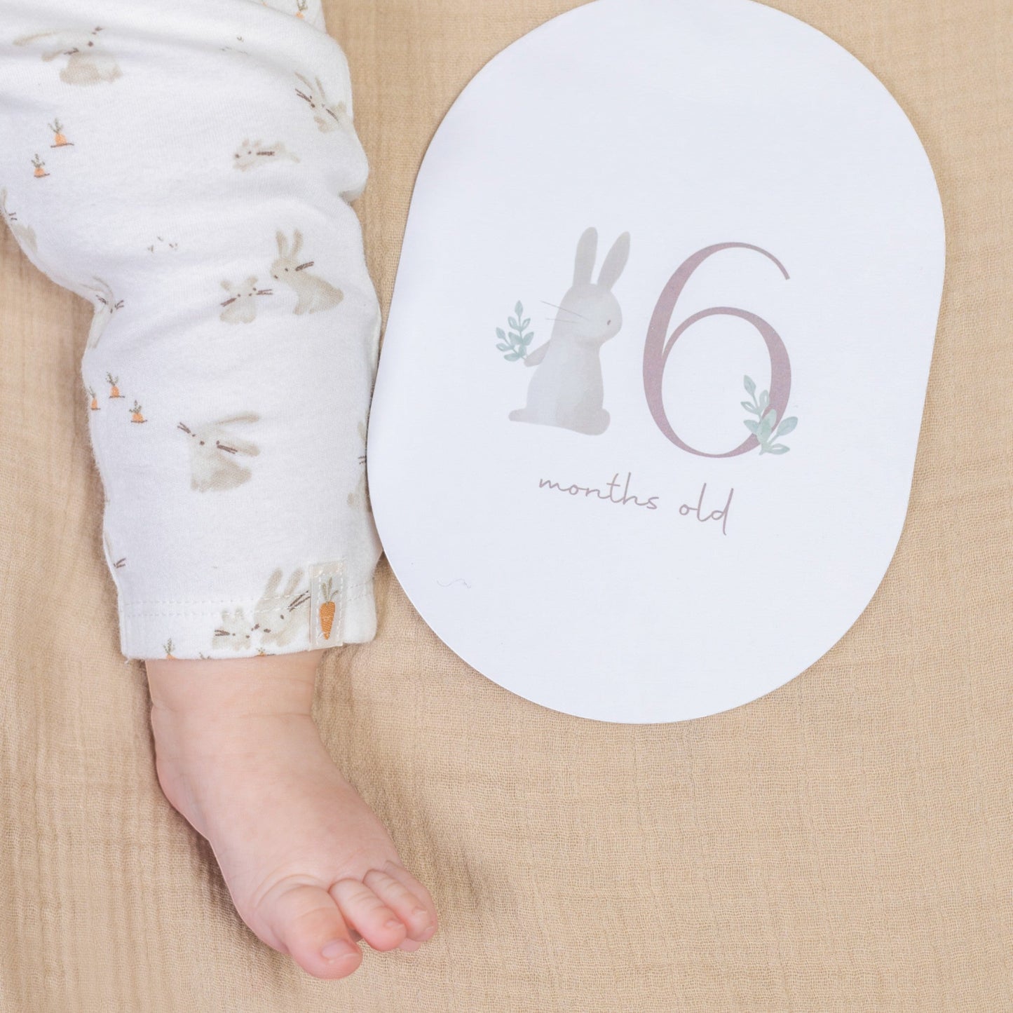 Baby Milestone Cards Baby Bunny