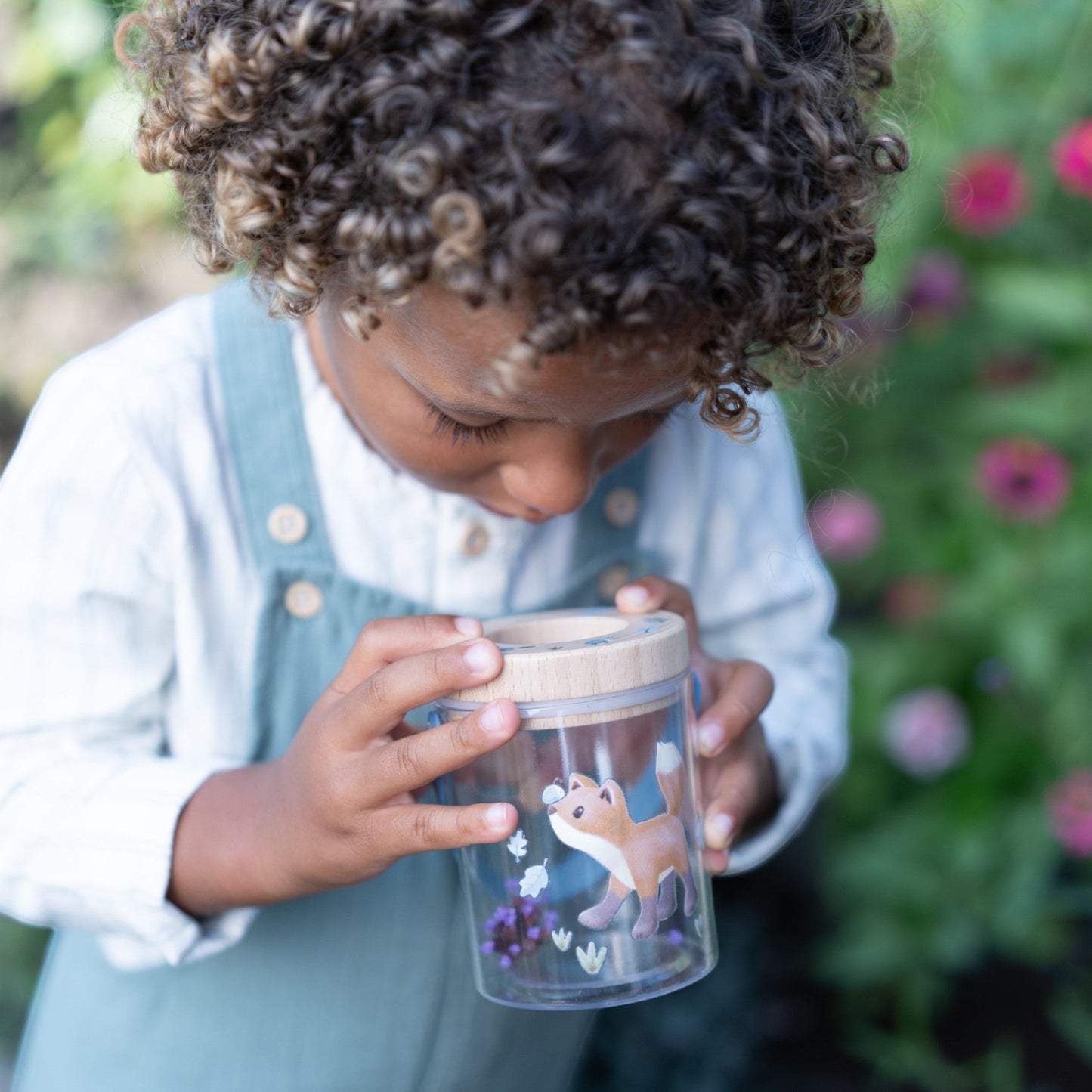 Insect Observation Jar Forest Friends