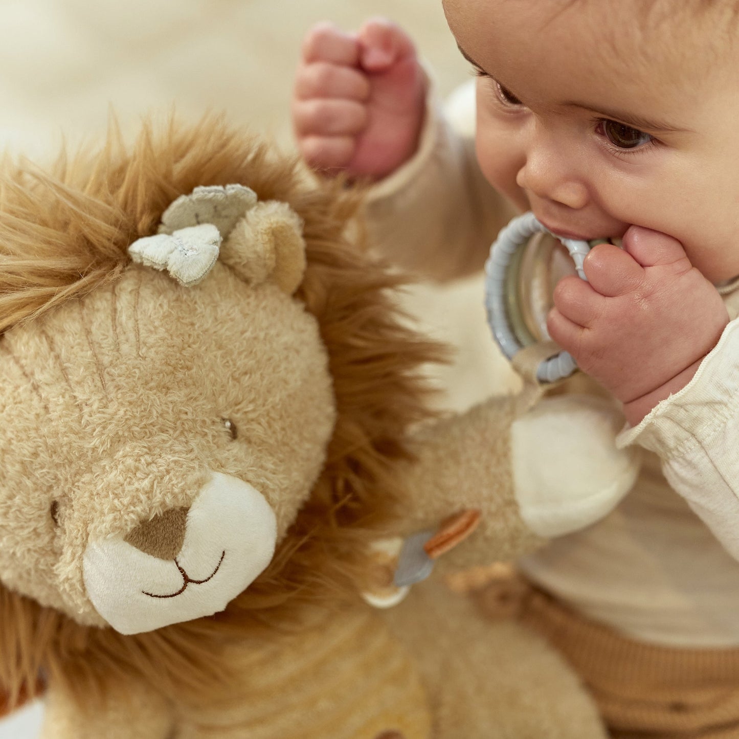 Activity cuddly toy Lion