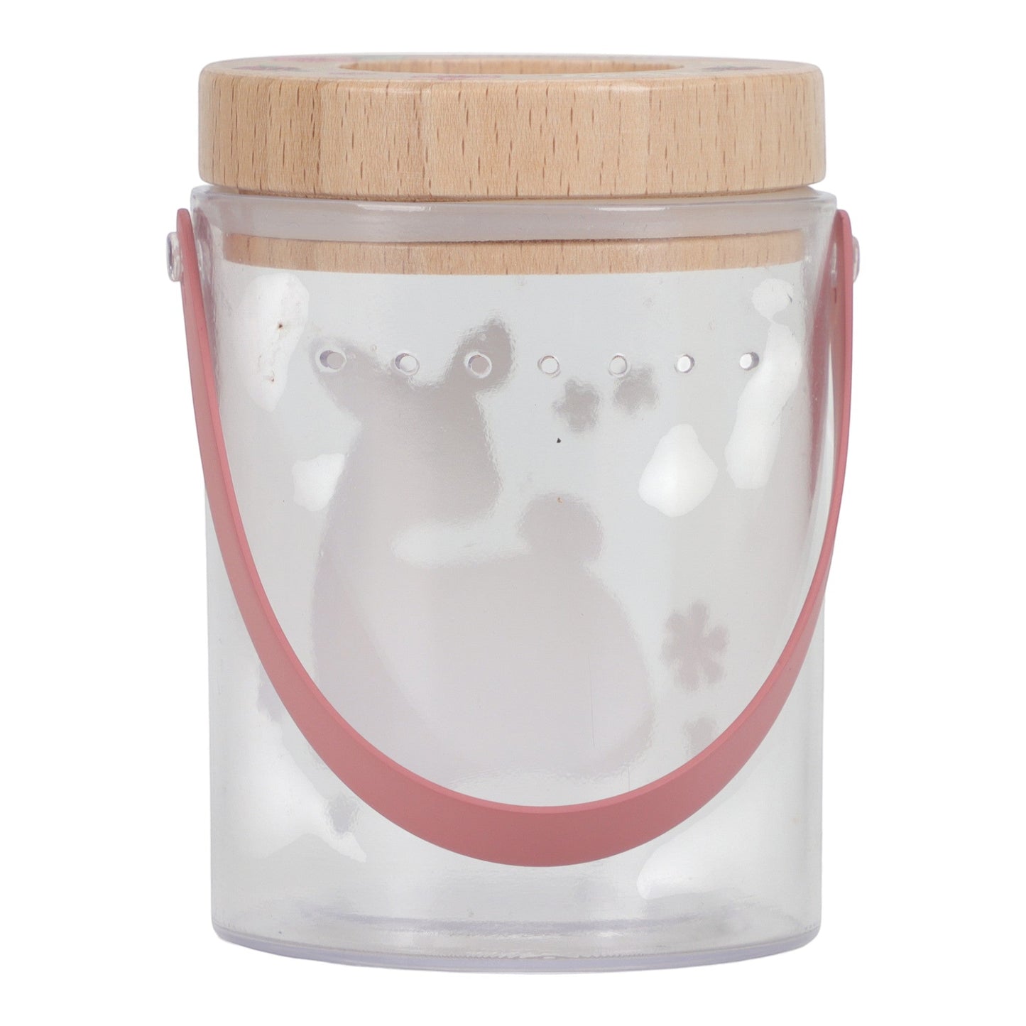 Insect Observation Jar