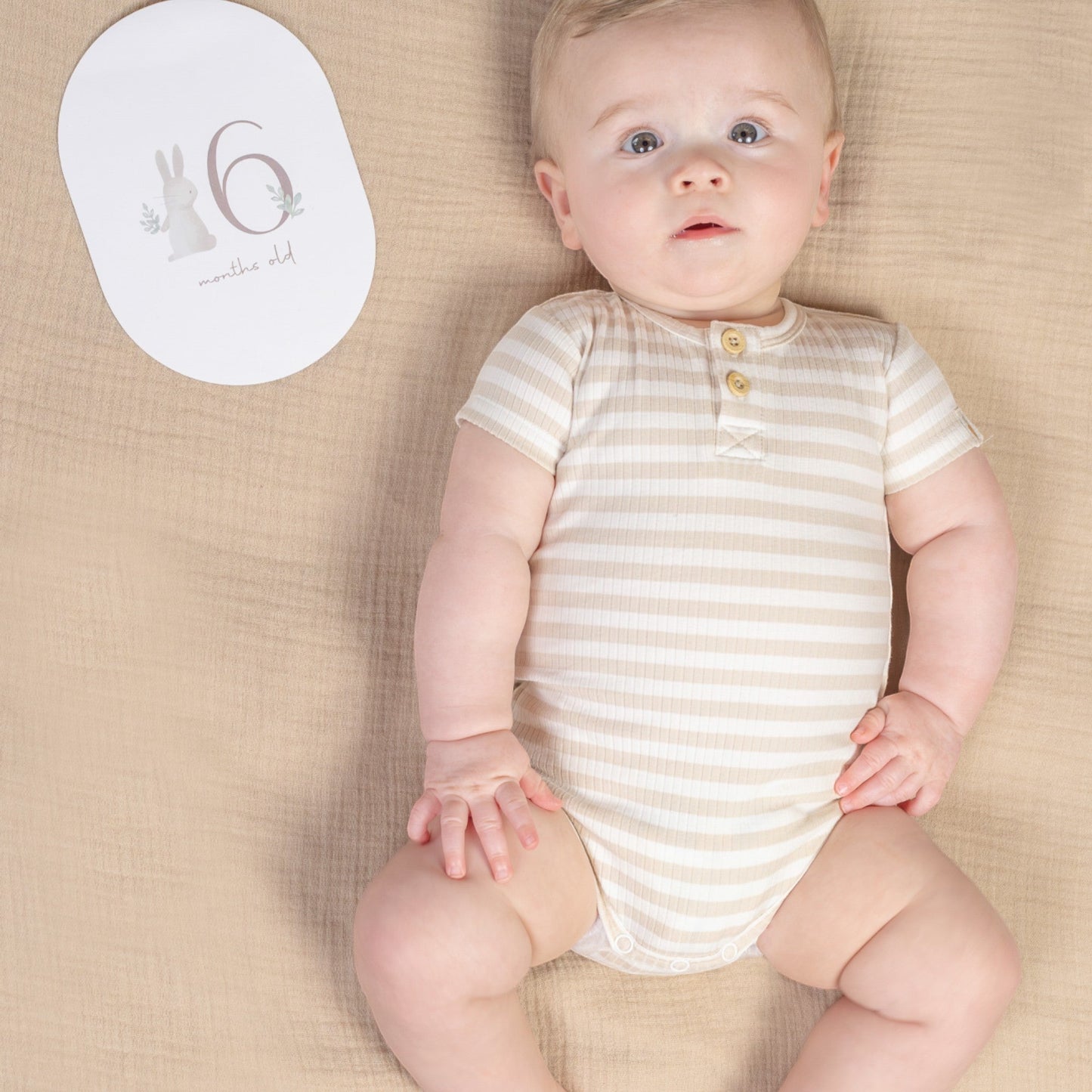 Baby Milestone Cards Baby Bunny
