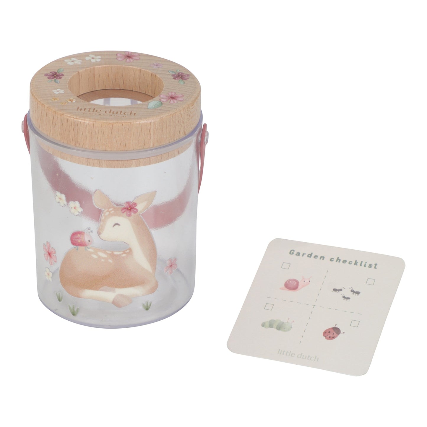 Insect Observation Jar