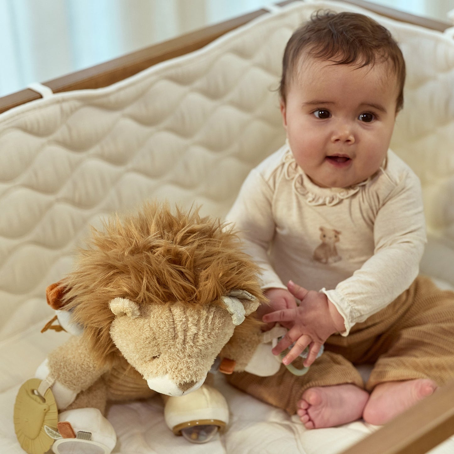 Activity cuddly toy Lion