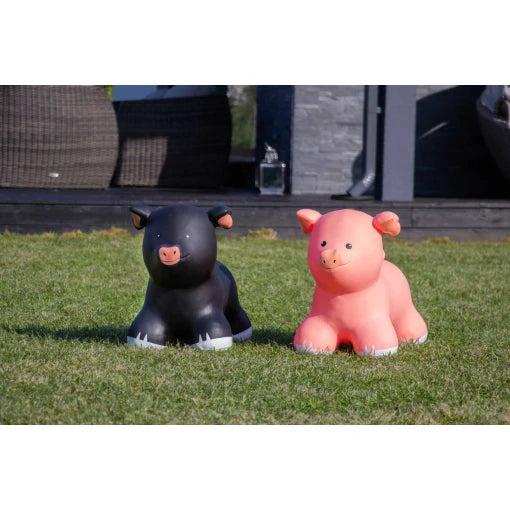 My First Jumpy – Pig (Pink)