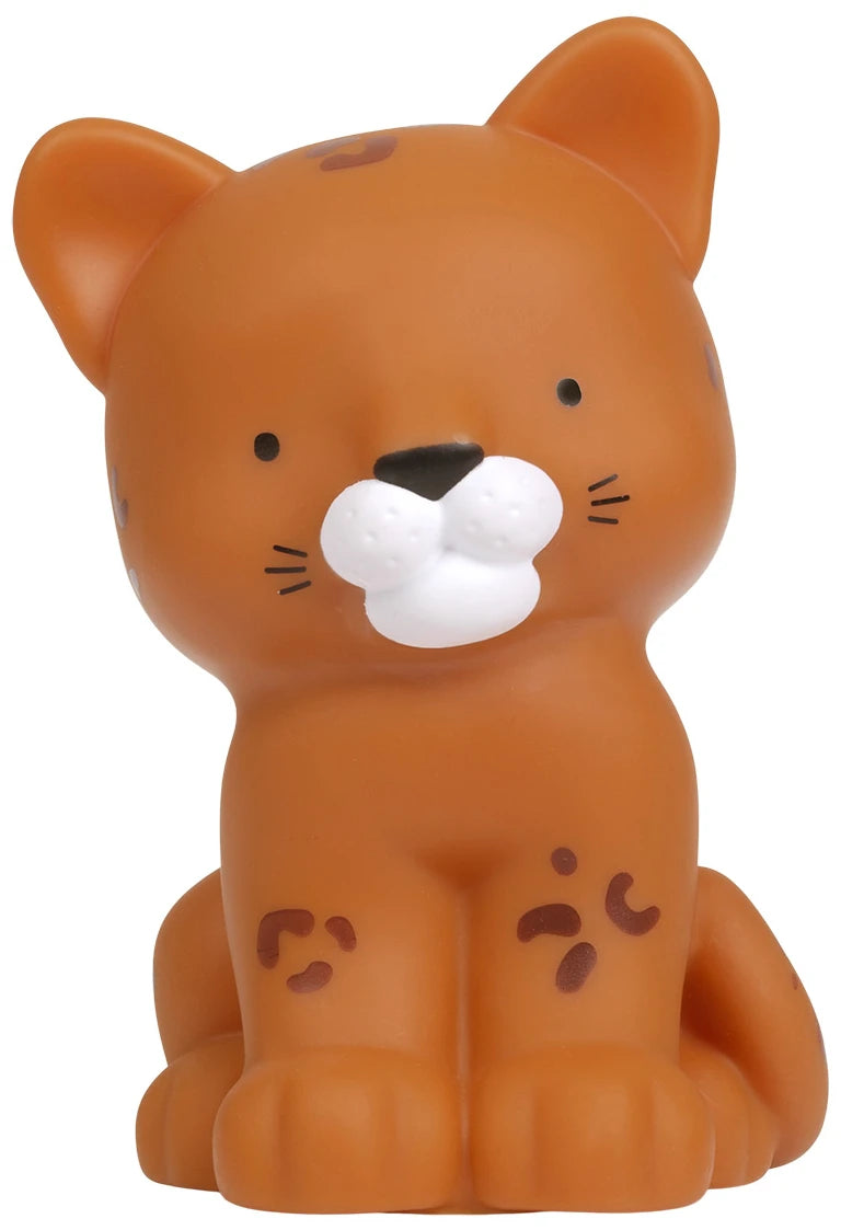 Little light: Leopard