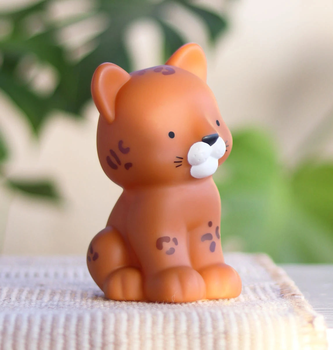 Little light: Leopard