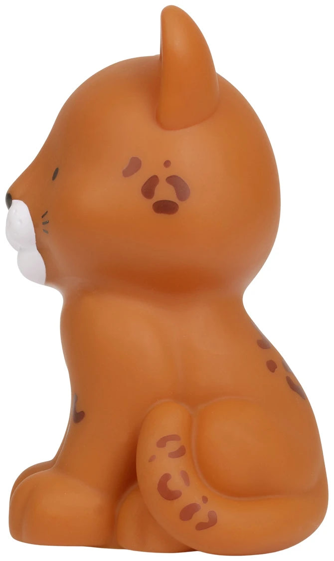 Little light: Leopard