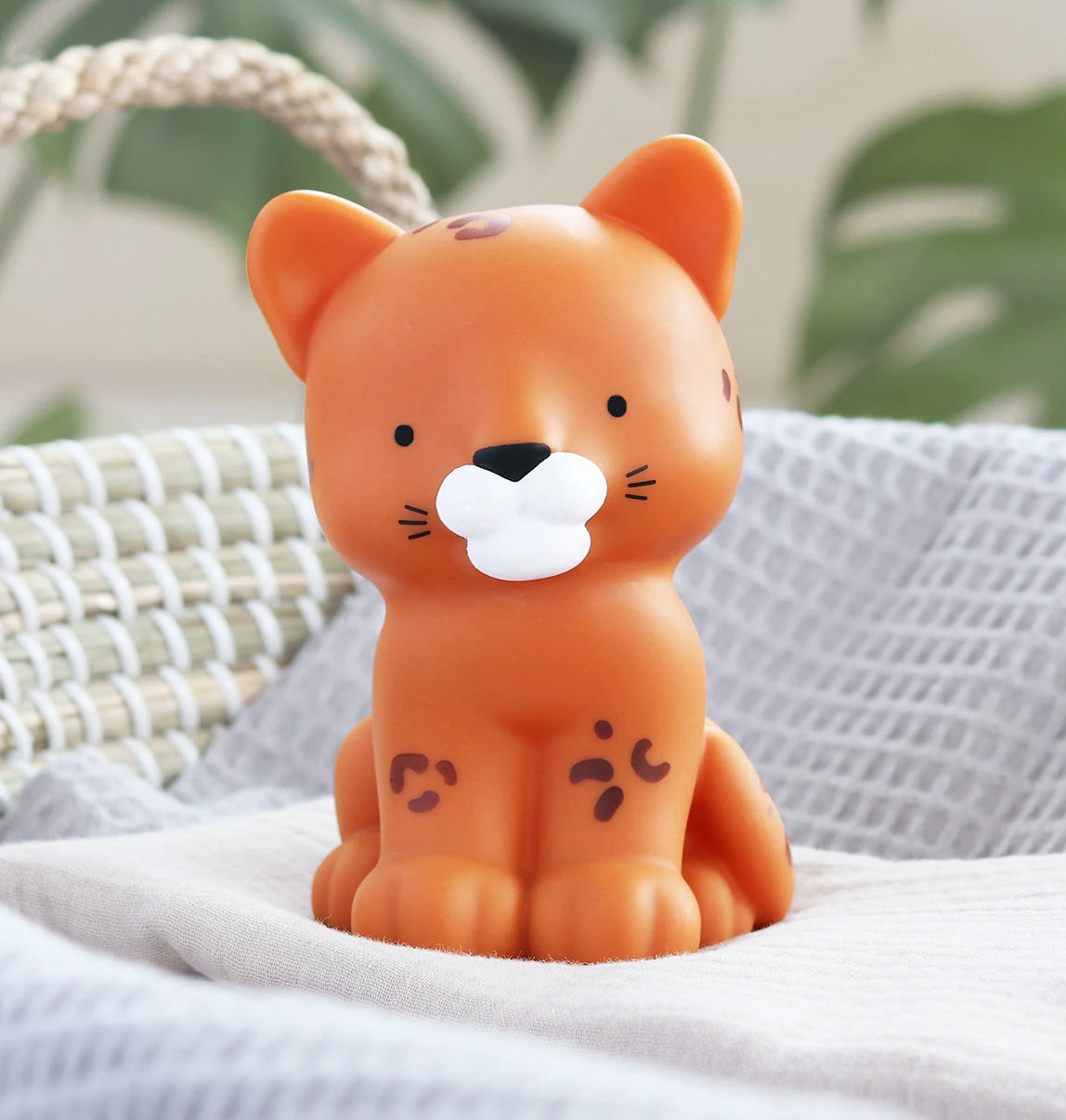 Little light: Leopard