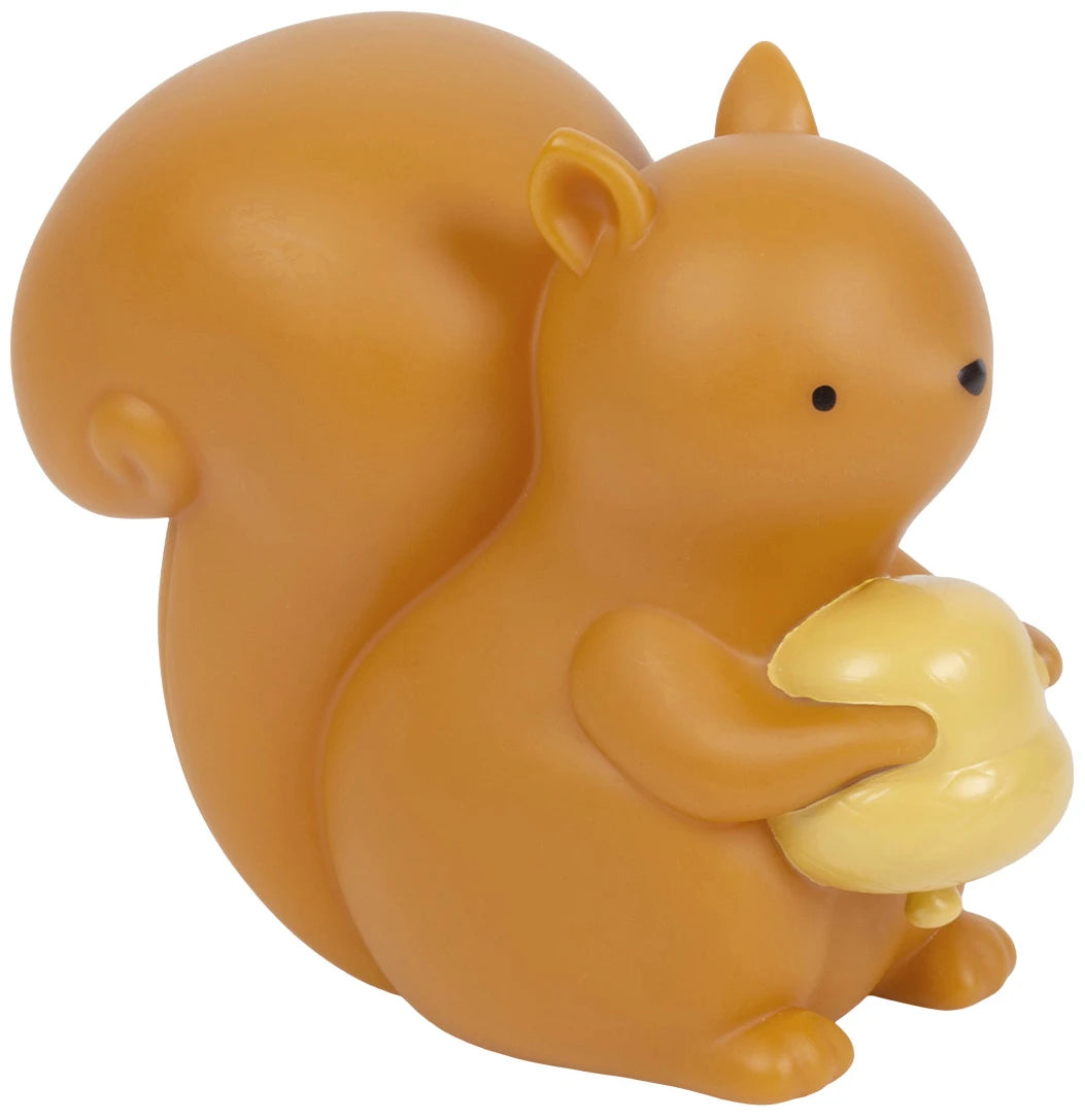 Little light: Squirrel