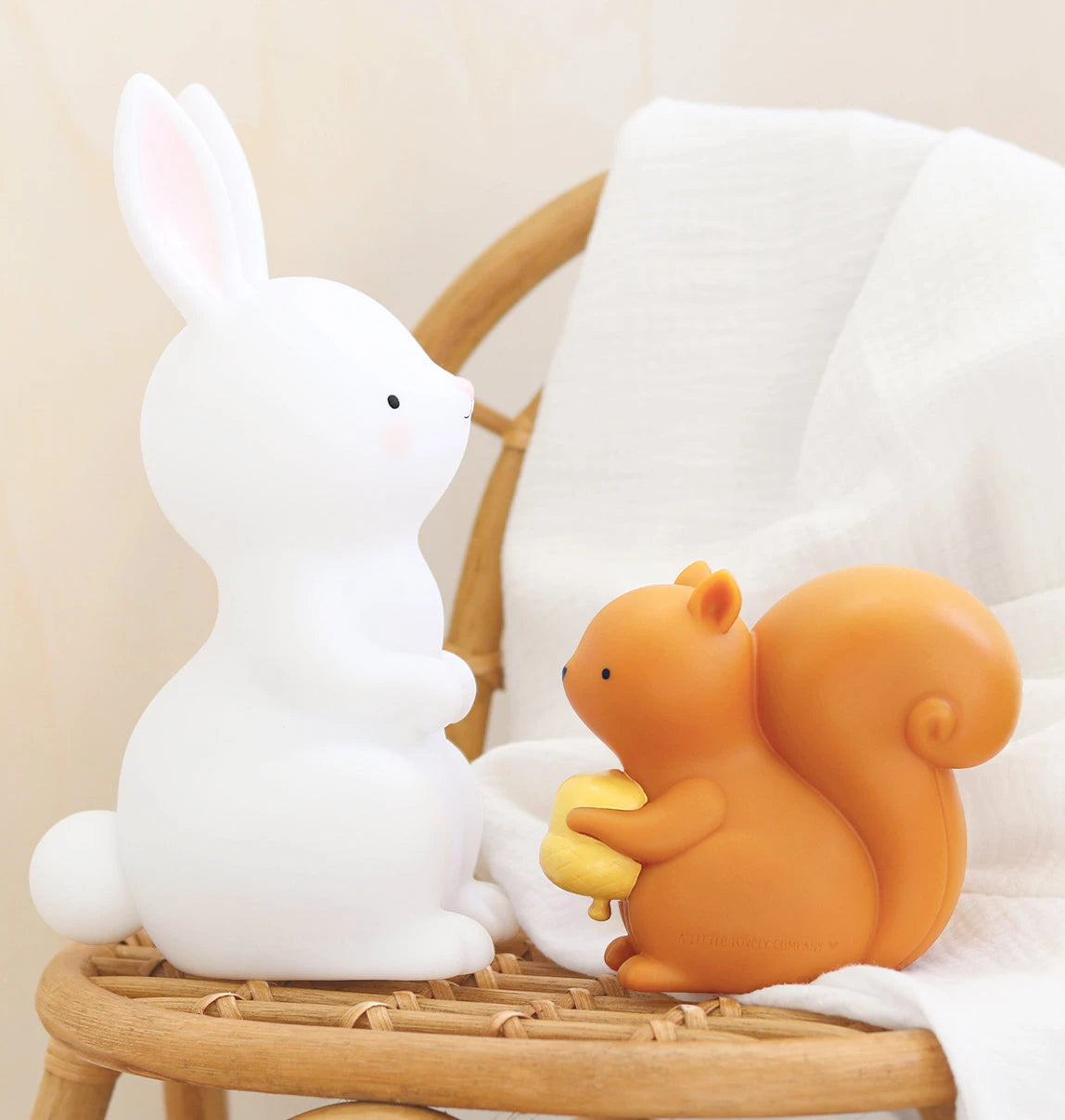 Little light: Squirrel