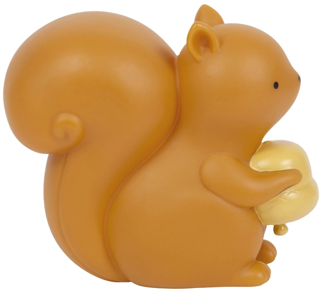 Little light: Squirrel